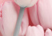 Bild auf Leinwand Six Tulips (1 Part) Vertical 117853 additionalThumb 5