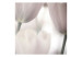 Vlies Fototapete Tulpen - Makroaufnahme von Tulpenblumen in gedämpften Farben 60353 additionalThumb 1