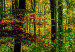 Wandbild Wild Forest 88663 additionalThumb 4