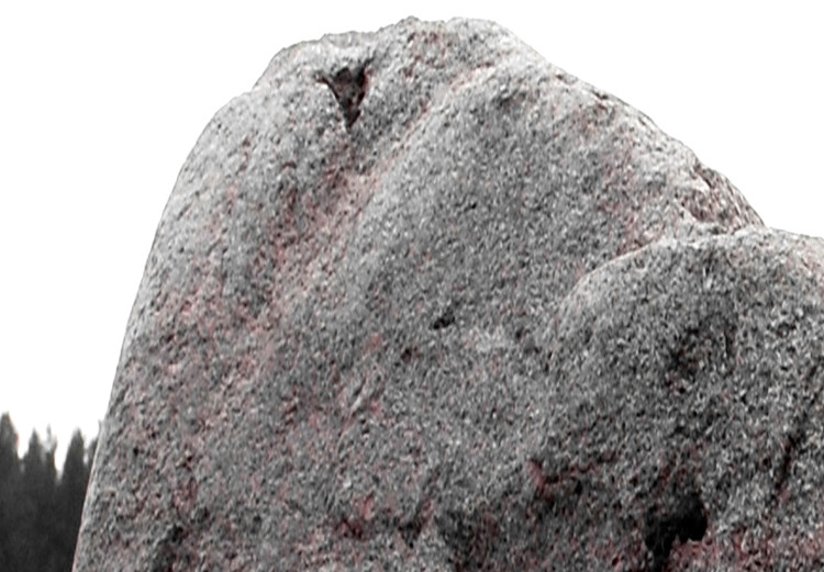 Bild auf Leinwand Fels auf der Wiese - herbstliche Landschaft mit Stein auf dem Feld 124383 additionalImage 5