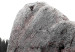 Bild auf Leinwand Fels auf der Wiese - herbstliche Landschaft mit Stein auf dem Feld 124383 additionalThumb 5