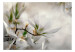 Vlies Fototapete Subtle Magnolias - Second Variant 126183 additionalThumb 1