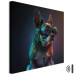 Bild AI Boston Terrier Dog - Green Cyber Animal Wearing Cyberpunk Glasses - Square 150224 additionalThumb 8