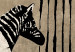 Leinwandbild Banksy: Washing Zebra on Concrete (3 Parts) 118534 additionalThumb 4
