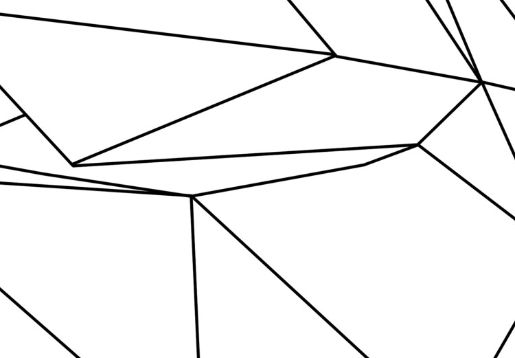 Bild auf Leinwand Schwarze Konturen eines Schwans - weiße, geometrische Abstraktion 128044 additionalImage 5