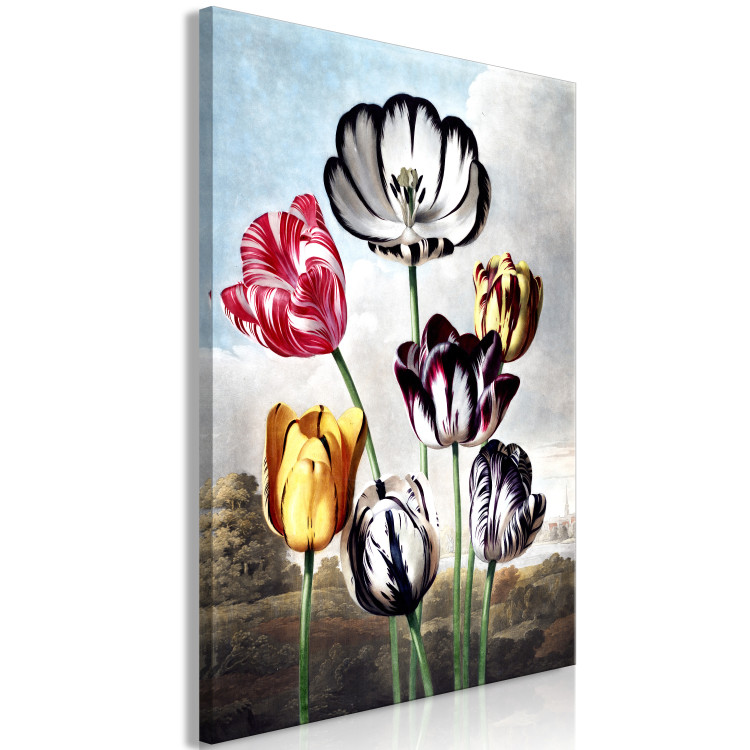 Bild Wonders of Nature - Spring Landscape With Colorful Tulips 149744 additionalImage 2