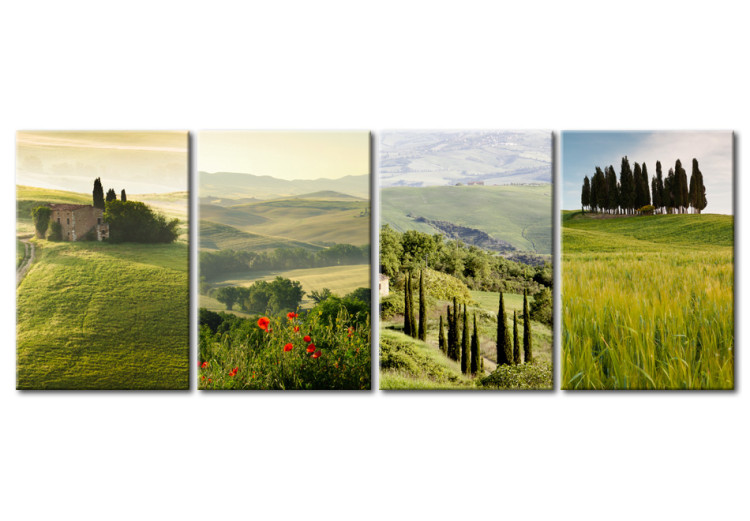 Wandbild Tuscany landscapes 50444
