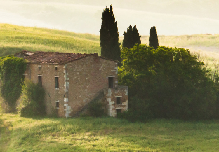 Wandbild Tuscany landscapes 50444 additionalImage 5