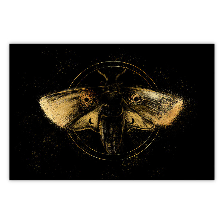 Wandposter Night Moth [Poster] 142564
