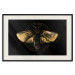 Wandposter Night Moth [Poster] 142564 additionalThumb 21