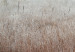 Vlies Fototapete Nebelhafter Raum - Landschaft mit Morgensonne über Feld und Wald 144064 additionalThumb 4