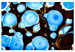 Wandbild Bio-Formen - Abstraktion in leuchtendem Blau und dunklem Bronzeton 134674