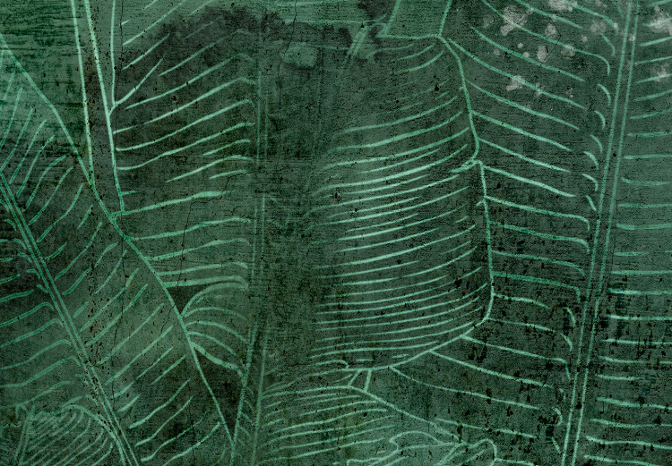 Vlies Fototapete Green Banana Leaves 135374 additionalImage 3