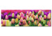 Leinwandbild Regenbogenfarbene Tulpen 58484