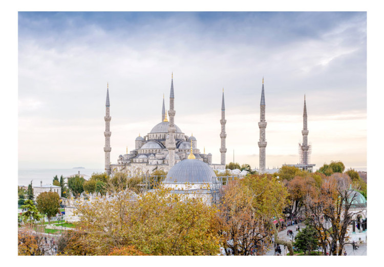 Fototapete Hagia Sophia Istanbul - Architektur mit türkischen Sehenswürdigkeiten 96684 additionalImage 1