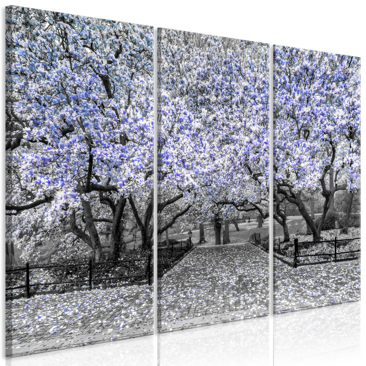 Bild auf Leinwand Blühende Magnolie - Triptychon mit Magnolienbäumen und lila Blumen 128794 additionalImage 2