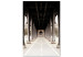 Leinwandbild Brücke auf der Seine - Fotografie in Sepia der Architektur von Paris 132294