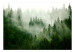 Fototapete Bergwald (grün) 126805 additionalThumb 1