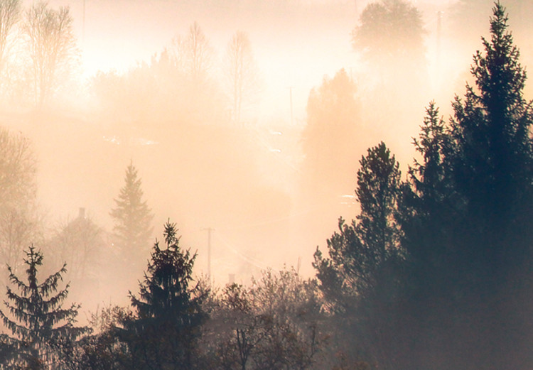 Wandbild Forest in the Fog - Mountainous Landscape With Trees at Sunrise 149805 additionalImage 5