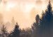 Wandbild Forest in the Fog - Mountainous Landscape With Trees at Sunrise 149805 additionalThumb 5