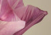 Wandbild Rosa Tulpenblüte  58615 additionalThumb 5
