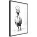 Poster Duckling [Poster] 135225 additionalThumb 26