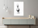 Poster Duckling [Poster] 135225 additionalThumb 19