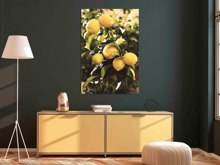 Leinwandbild Zitronenbaum - Foto von einem Baumast mit reifen Früchten 135845 additionalImage 3