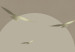 Fototapete Fliegende goldene Vögel zur Sonne - Abstrakte Landschaft mit Bergen 144645 additionalThumb 4