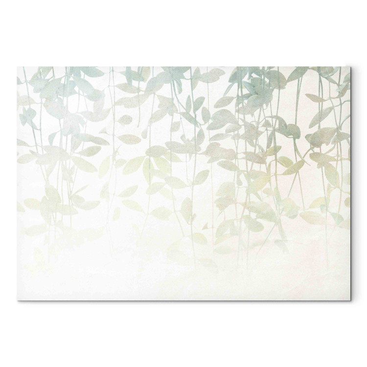 Bild auf Leinwand Seledyn Finesse - Twigs in Delicate Green Colors 151275 additionalImage 7