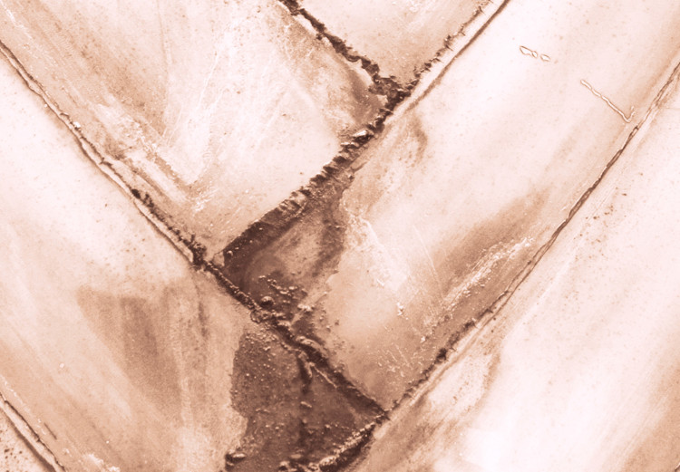 Bild auf Leinwand Dünne Blätter - Struktur eines trockenen Palmblatts in zarter Bronze 135285 additionalImage 4
