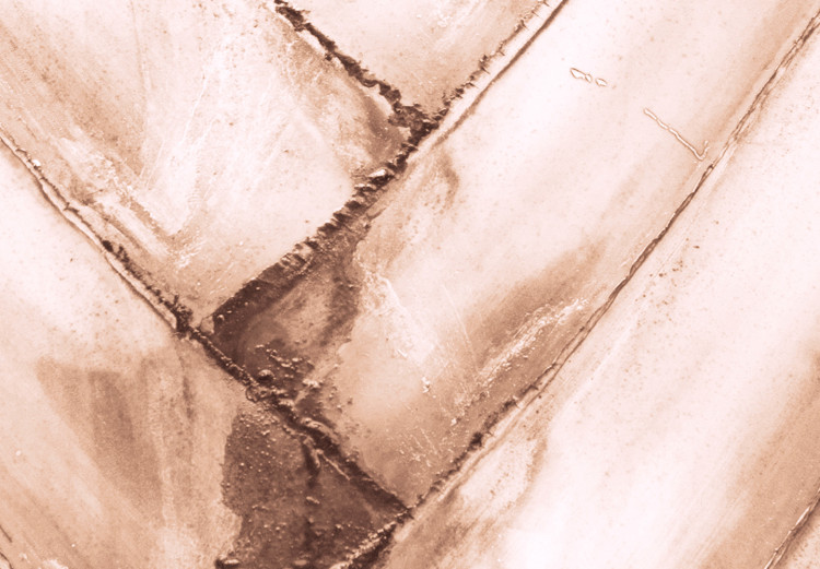 Bild auf Leinwand Dünne Blätter - Struktur eines trockenen Palmblatts in zarter Bronze 135285 additionalImage 5