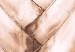Bild auf Leinwand Dünne Blätter - Struktur eines trockenen Palmblatts in zarter Bronze 135285 additionalThumb 4