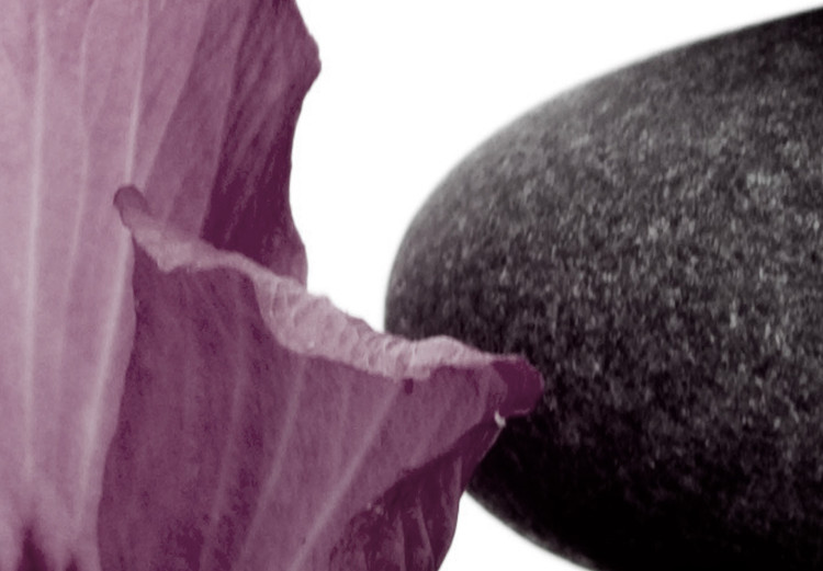 Bild auf Leinwand Hibiskusfrieden – eine Komposition im Zen-Stil, mit orientalischer Orchideenblüte und Steinen, perfekt für Interieurs im japanischen Stil 123495 additionalImage 4