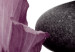 Bild auf Leinwand Hibiskusfrieden – eine Komposition im Zen-Stil, mit orientalischer Orchideenblüte und Steinen, perfekt für Interieurs im japanischen Stil 123495 additionalThumb 4