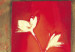 Leinwandbild Mohnblumen auf drei roten Kissen  46695 additionalThumb 2