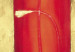 Leinwandbild Mohnblumen auf drei roten Kissen  46695 additionalThumb 3