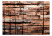 Vlies Fototapete Schatten des Waldes - braunes Muster mit Schatten von hohen Waldbäumen 63906 additionalThumb 1