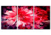 Bild auf Leinwand Crimson Flowers 90006