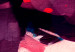 Bild auf Leinwand Crimson Flowers 90006 additionalThumb 5