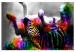 Wandbild XXL Happy Zebra [Large Format] 136426
