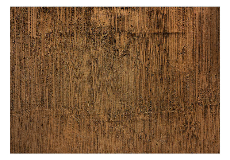 Vlies Fototapete Raue braune Struktur - Einheitlicher Hintergrund mit Textur in Braun 142536 additionalImage 1