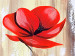 Bild auf Leinwand Drei Mohnblumen (3-teilig) - Blumen Mohn mit Holzmaserung 48536 additionalThumb 3