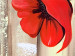 Bild auf Leinwand Drei Mohnblumen (3-teilig) - Blumen Mohn mit Holzmaserung 48536 additionalThumb 2