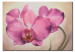 Wandbild Weibliche Blüte 48636