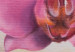 Wandbild Weibliche Blüte 48636 additionalThumb 5