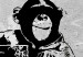 Leinwandbild XXL Banksy: Monkey with Frame II [Large Format] 125546 additionalThumb 3