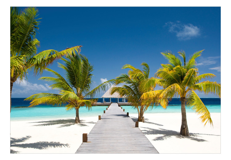 Vlies Fototapete Paradiesische Malediven - Landschaft mit Palmen und blauem Himmel 126946 additionalImage 1