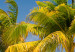Vlies Fototapete Paradiesische Malediven - Landschaft mit Palmen und blauem Himmel 126946 additionalThumb 4