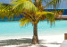 Vlies Fototapete Paradiesische Malediven - Landschaft mit Palmen und blauem Himmel 126946 additionalThumb 3